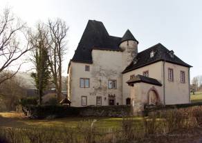 Irscher Burg von Westen