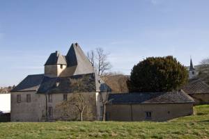 Irscher Burg von Süden